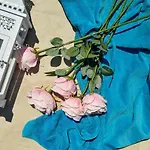 Perla דירה זאדאר