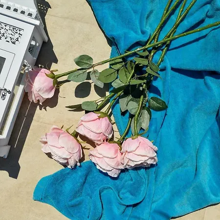 Perla Apartamento Zadar